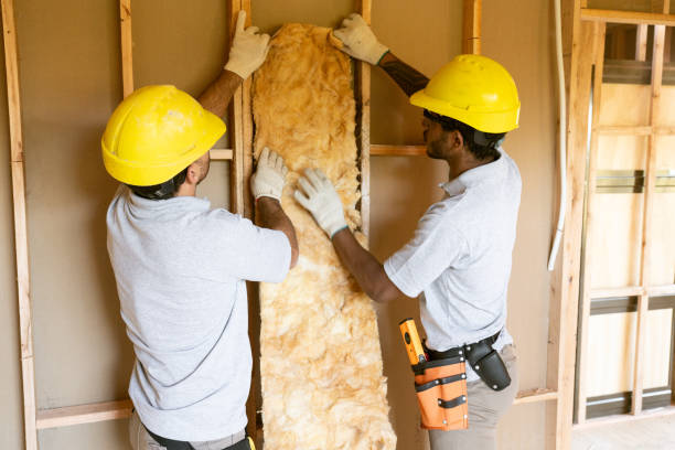 Best Insulation Replacement Services  in Honey Grove, TX