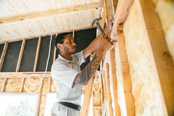 Best Insulation for Commercial Buildings  in Honey Grove, TX
